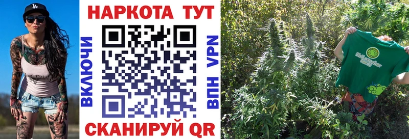 Как найти наркотики Злынка ГАШ  Бутират  Меф 