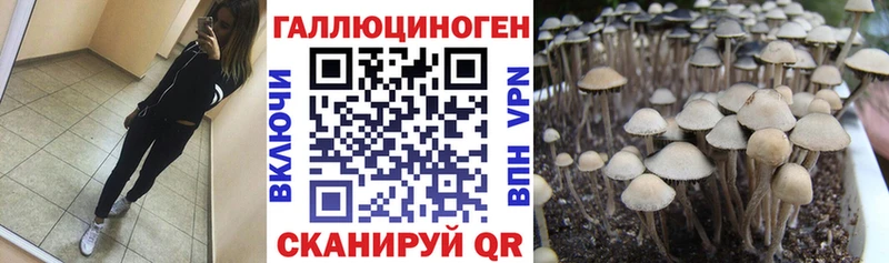 ссылка на мегу ссылка  Злынка  Псилоцибиновые грибы прущие грибы 